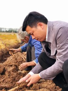 廠容廠貌